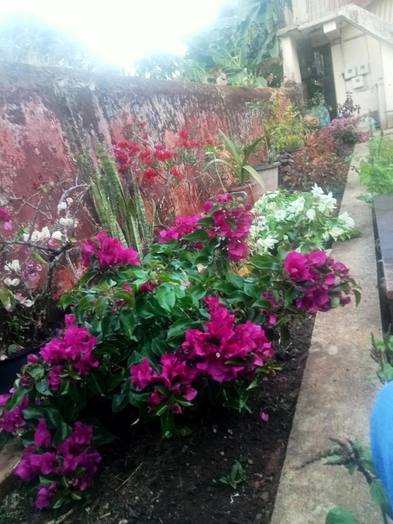 מדיקרי Eshwarkrupa Homestay מראה חיצוני תמונה